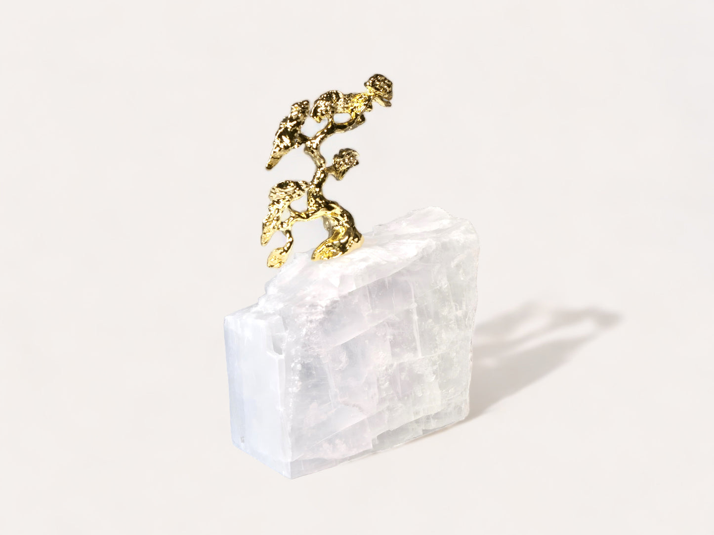 a bird sitting on top of a white vase