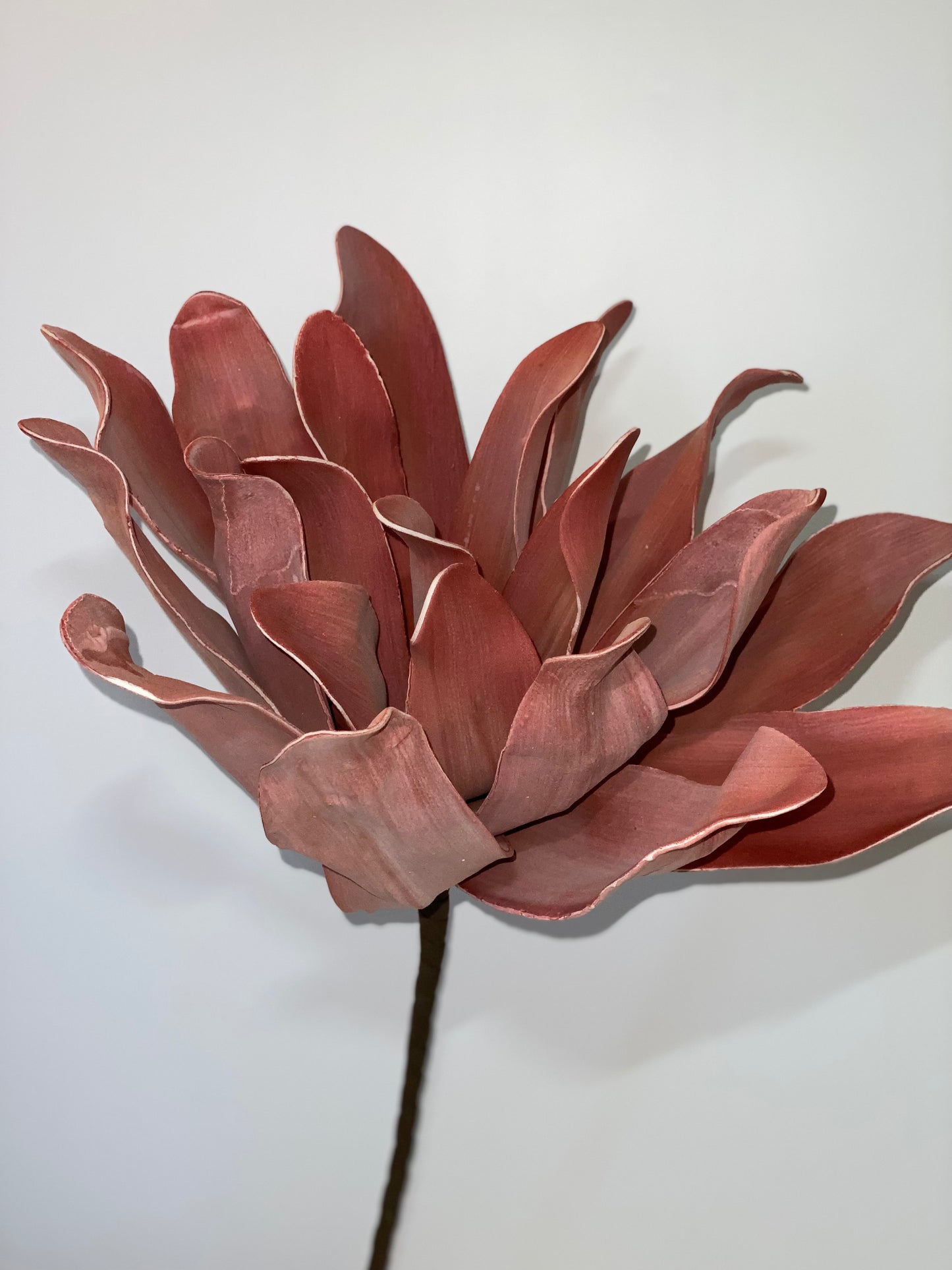 a close up of a vase with a flower in it