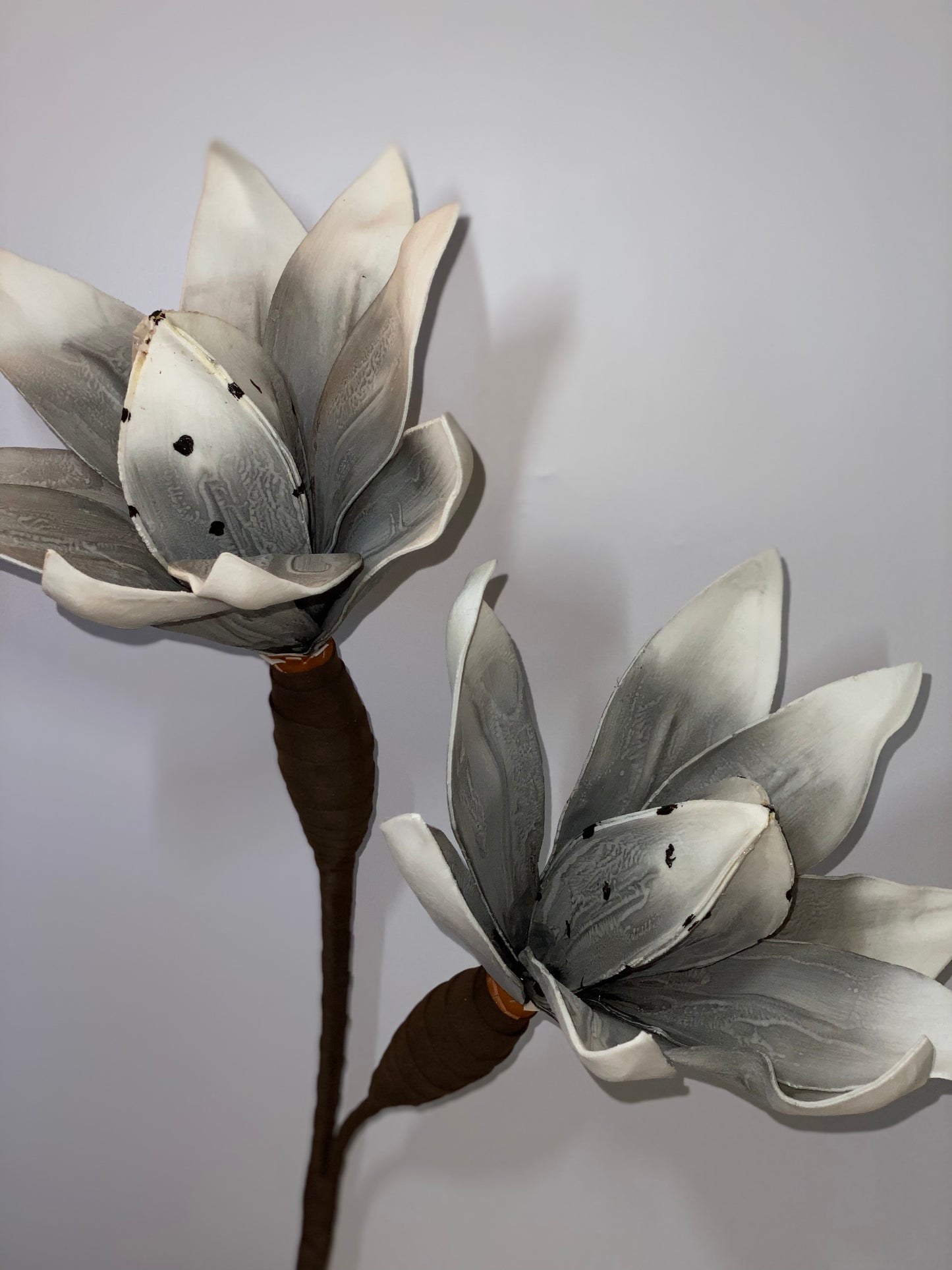 a close up of a vase with flowers in it