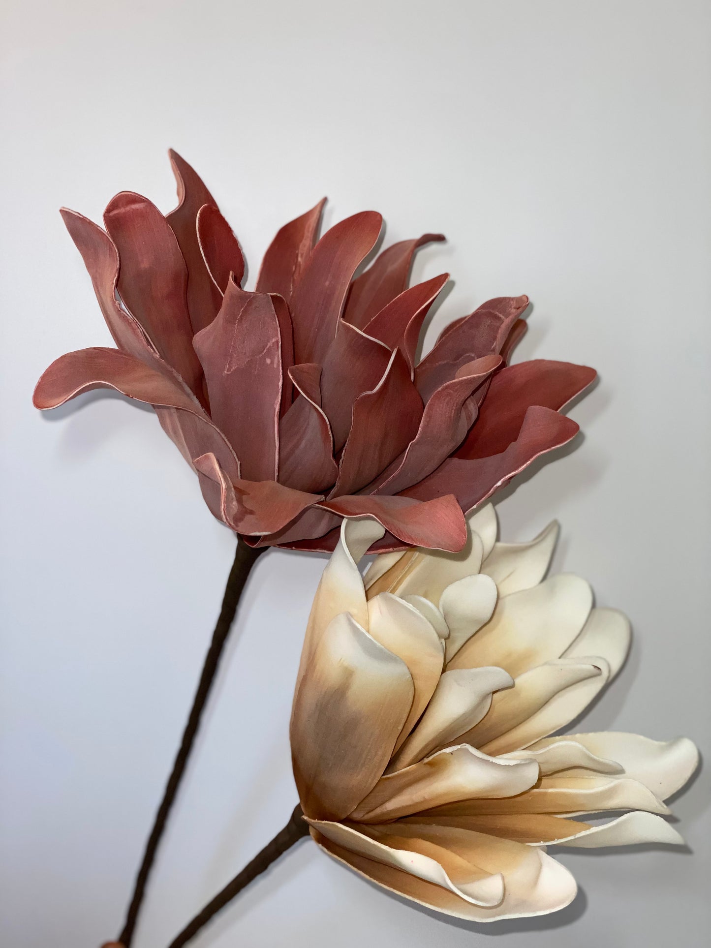 a vase filled with red and white flowers