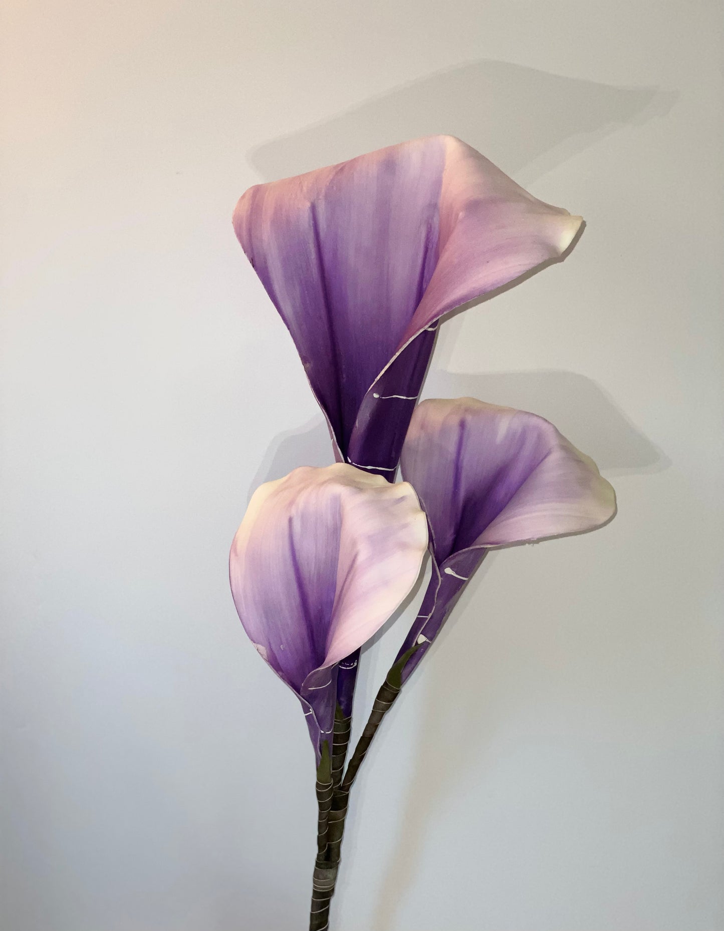 a close up of a purple flower in a vase