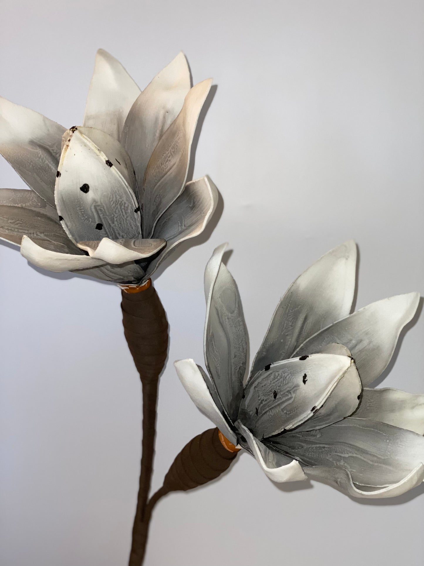 a close up of a vase with flowers in it