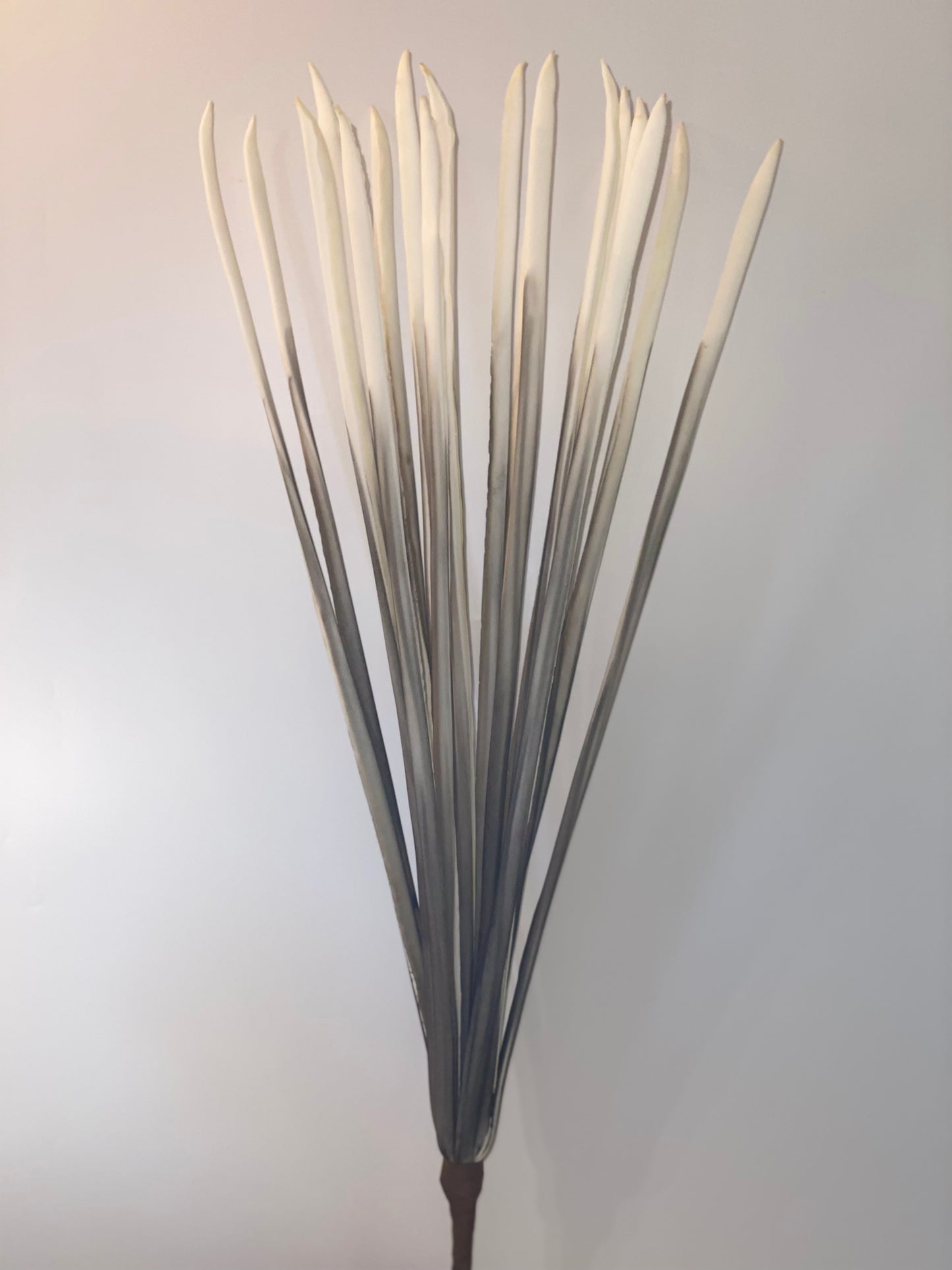 a close up of a flower in a vase
