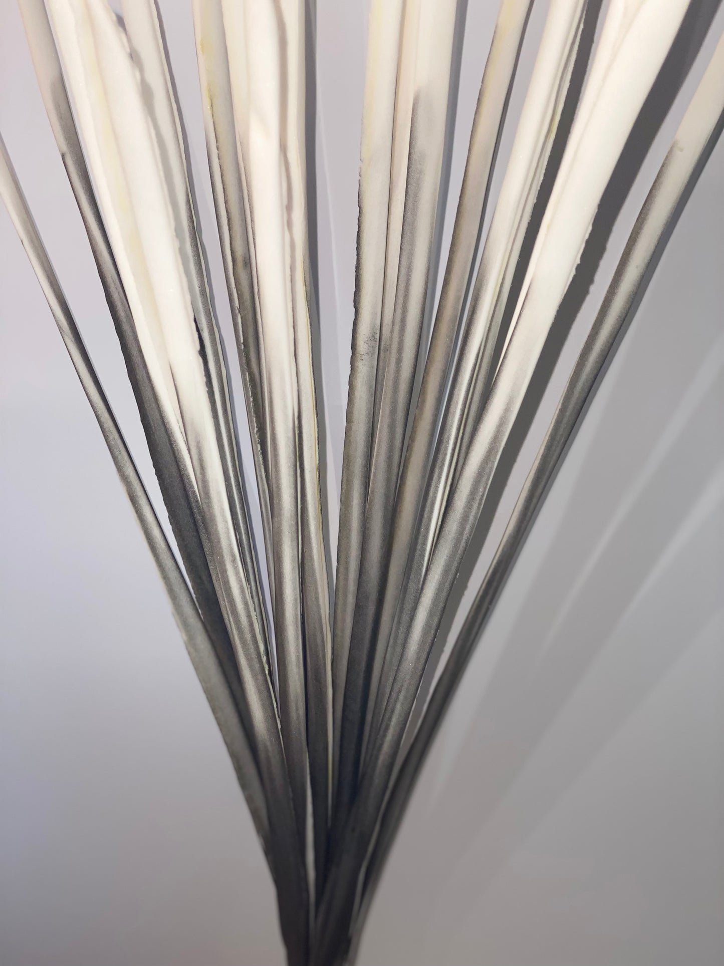 a close up of a flower in a vase