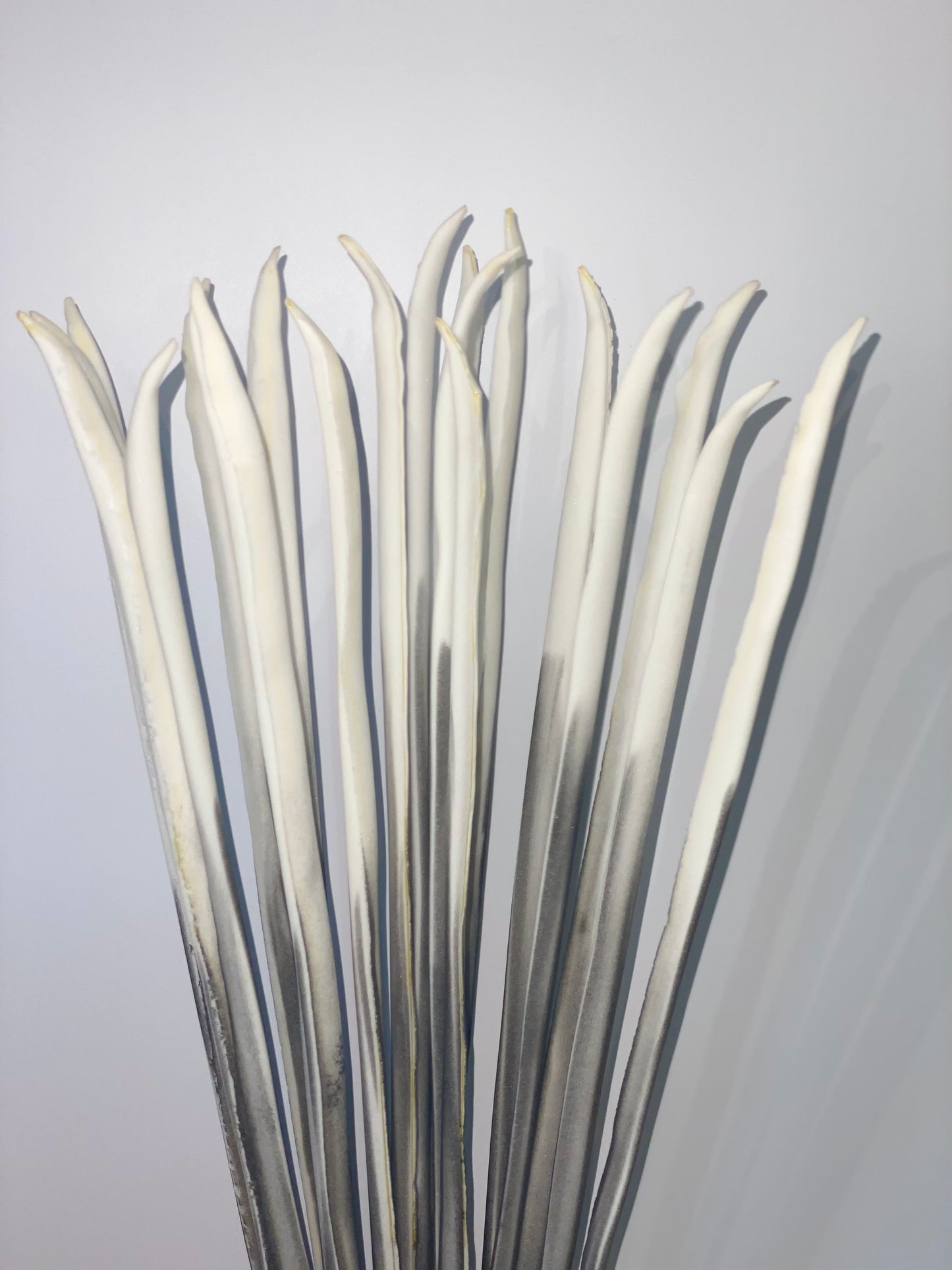 a close up of a flower in a vase