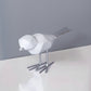 a white bird sitting on a window sill 