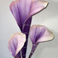 a purple flower in a pink flower in a pink vase 