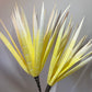 a close up of a yellow flower in a vase 