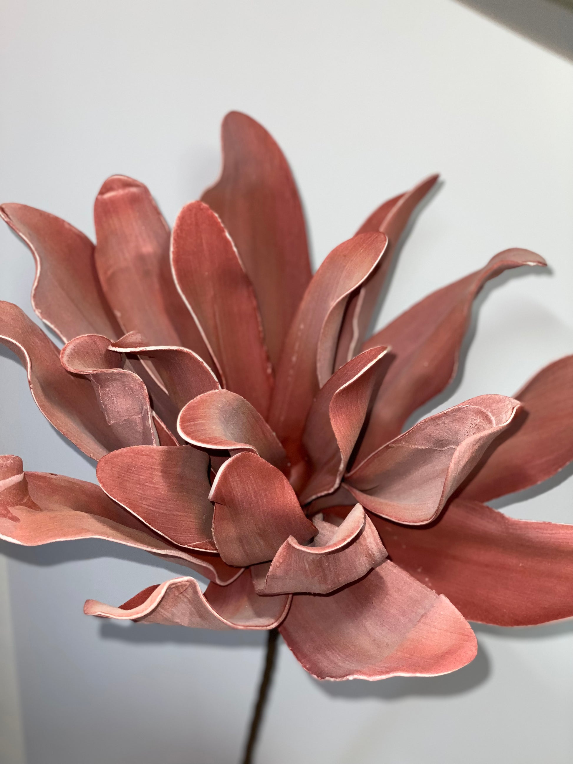 a glass vase with a red flower in it 