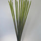 a green plant with a green plant in it 