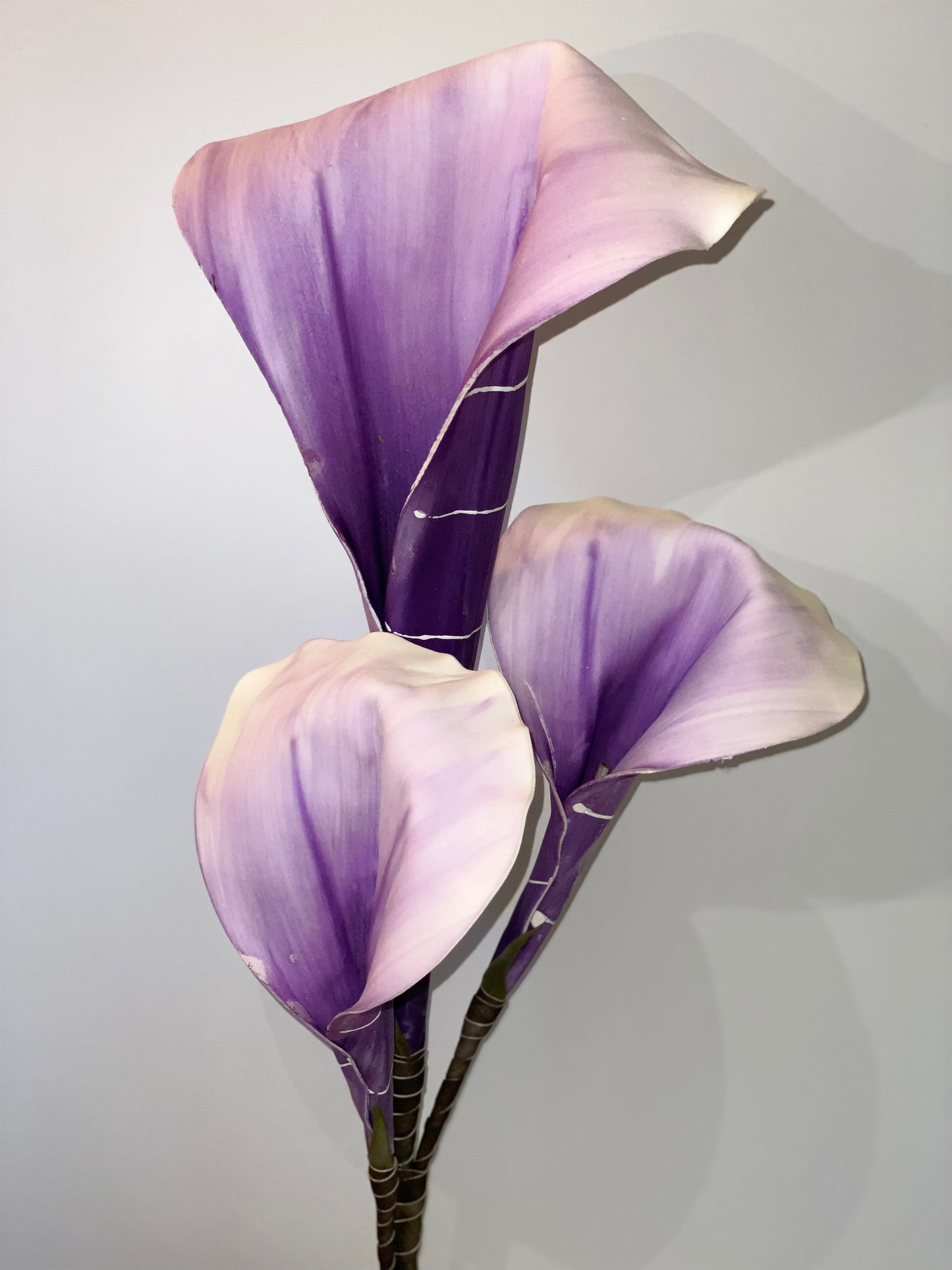 a close up of a purple flower in a vase 