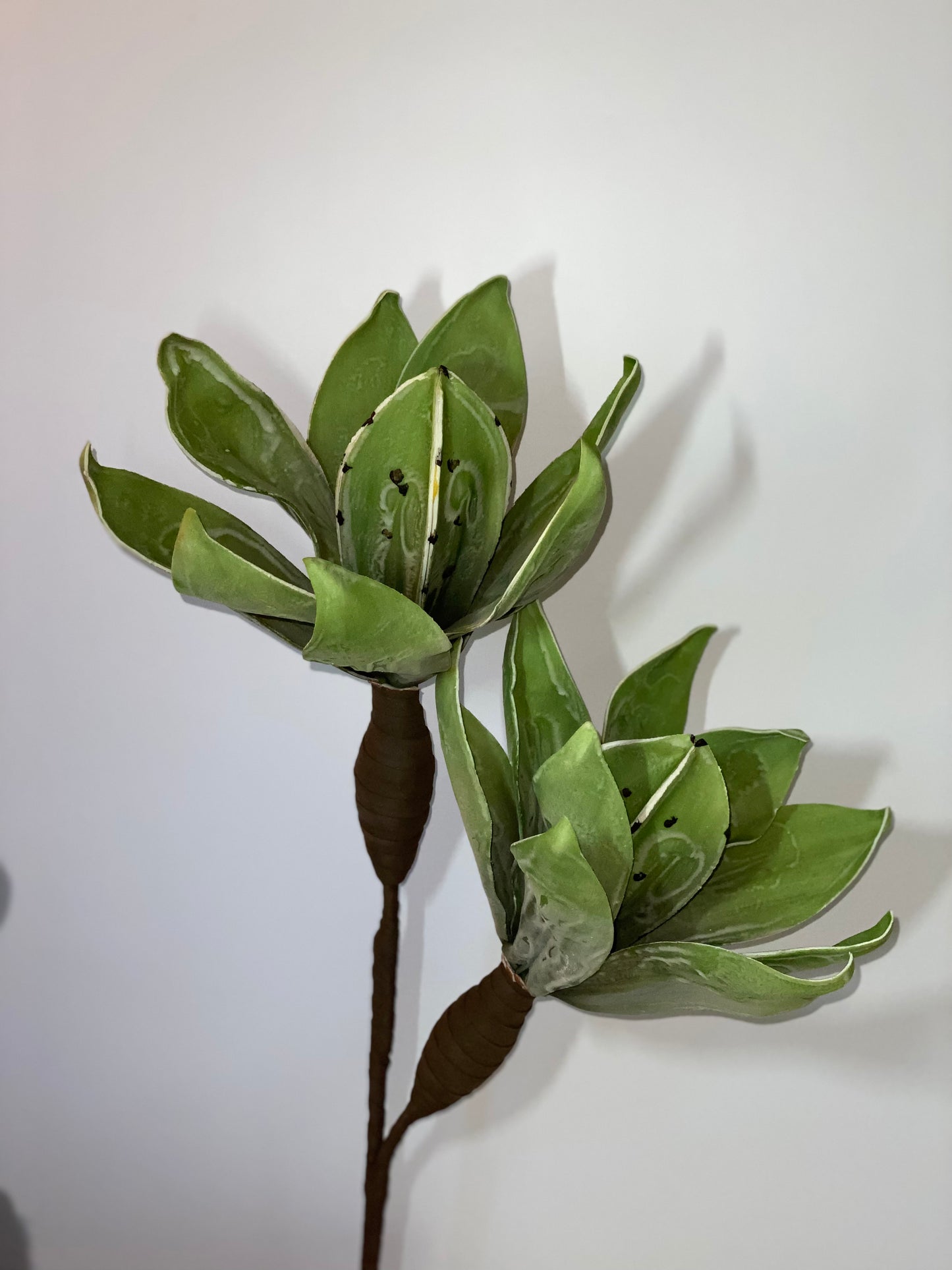 a plant that is in a vase on a table 