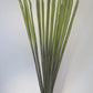 a close up of a plant in a vase 